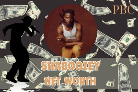 shaboozey net worth